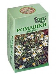 Ромашки цветки
